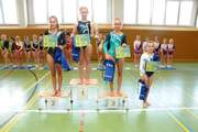 Finale des 11. Turn-Heidecup 2016