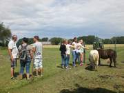 Ostsee-Feriencamp 2. Durchgang, Rügen 2016